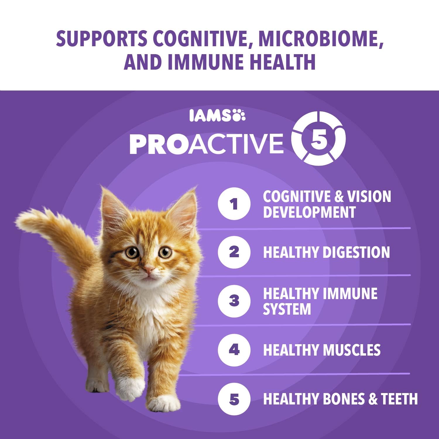 IAMS saumon frais en gros plan illustrant première source de protéines