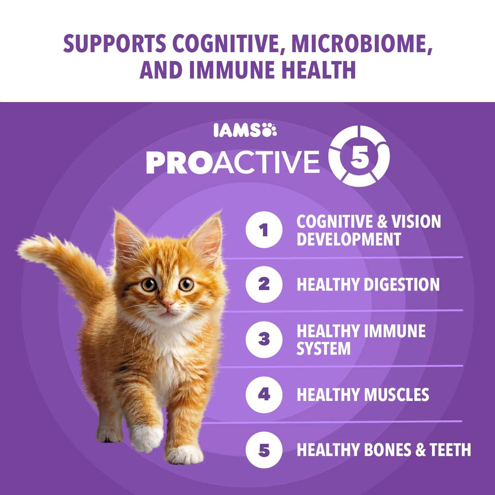 IAMS saumon frais en gros plan illustrant première source de protéines