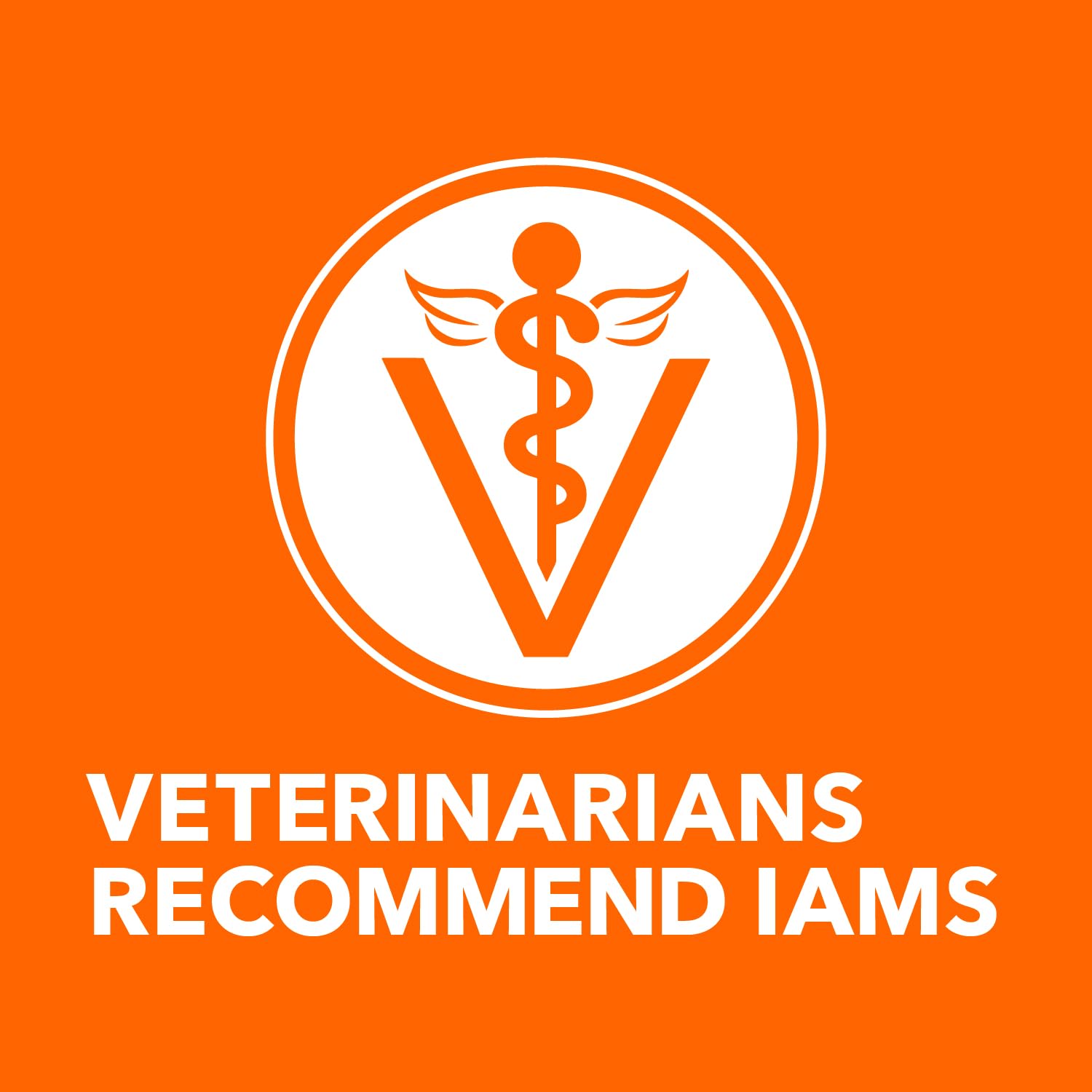 IAMS représentation des ingrédients clés pour transparence qualité