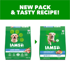 IAMS zoom sur la texture des croquettes bénéfique pour la mastication