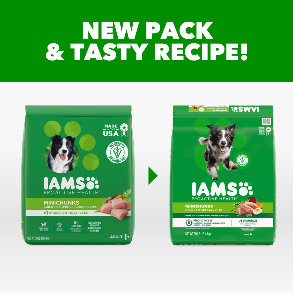 IAMS gros plan des croquettes montrant texture et qualité de la nourriture