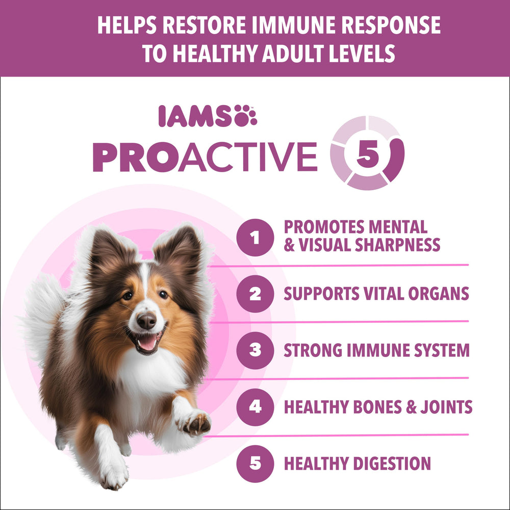 IAMS gros plan croquettes illustrant texture croquante pour réduire la plaque