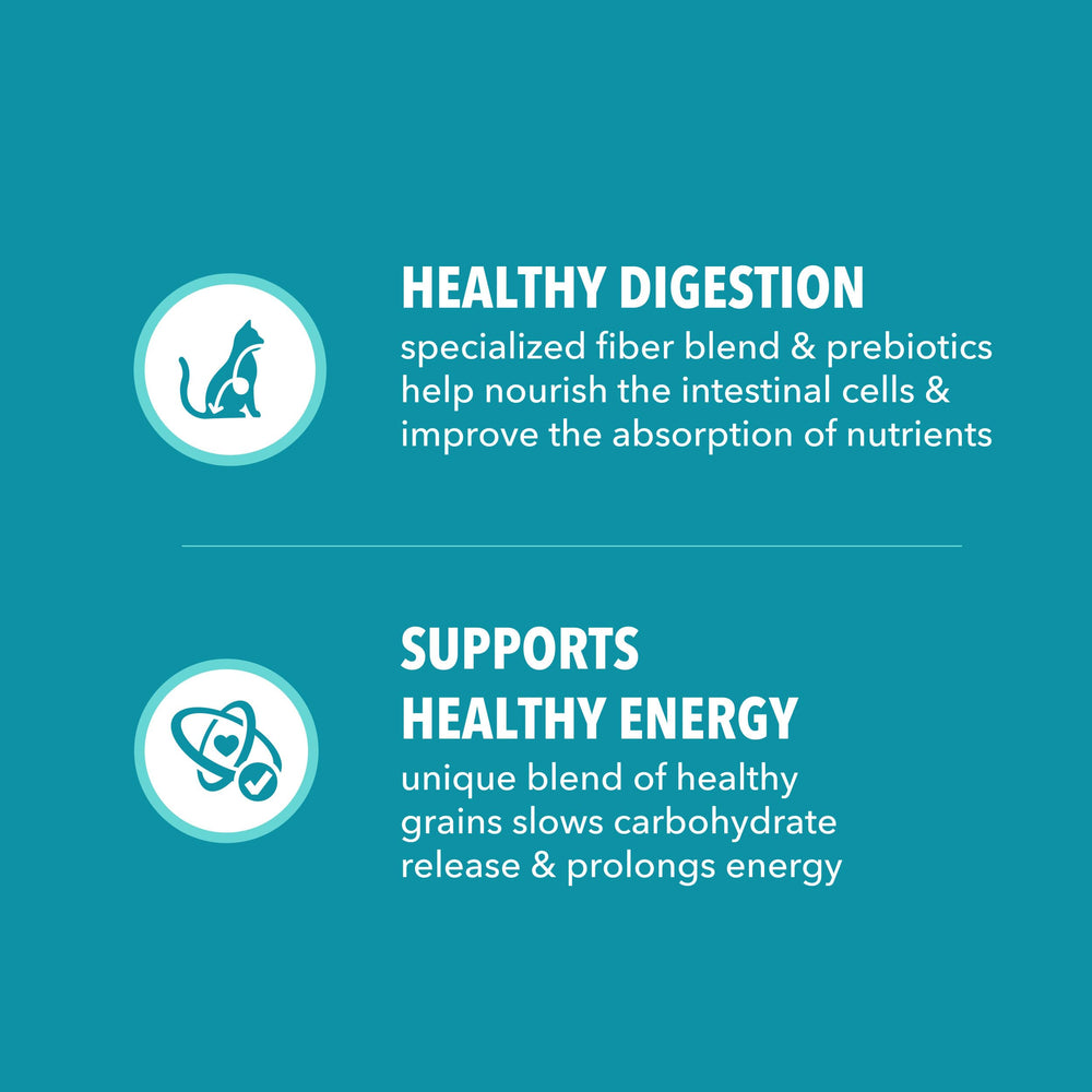 IAMS tableau nutrition montrant vitamines minéraux essentiels pour énergie