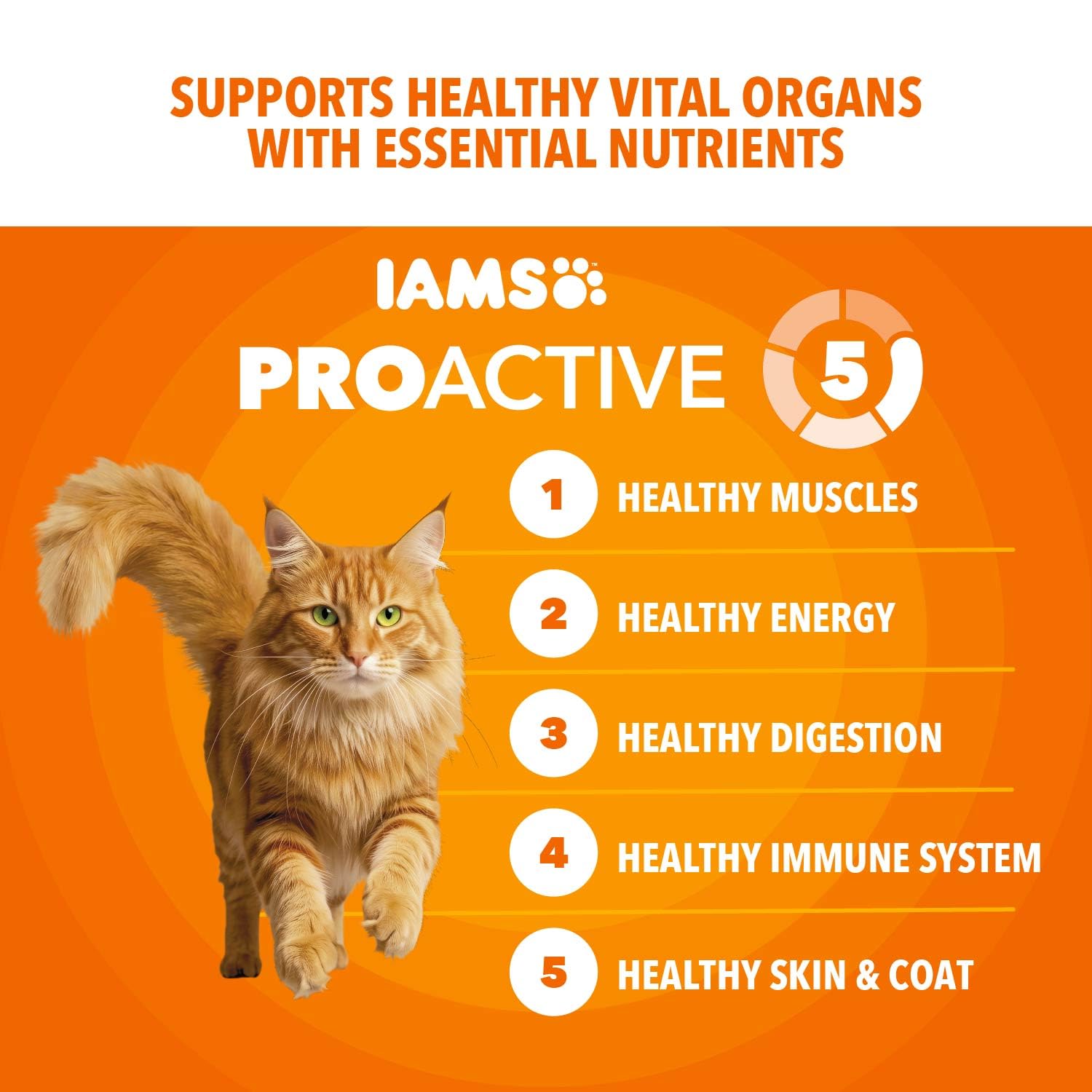 IAMS mains versant croquettes pour portion pratique et fraîcheur