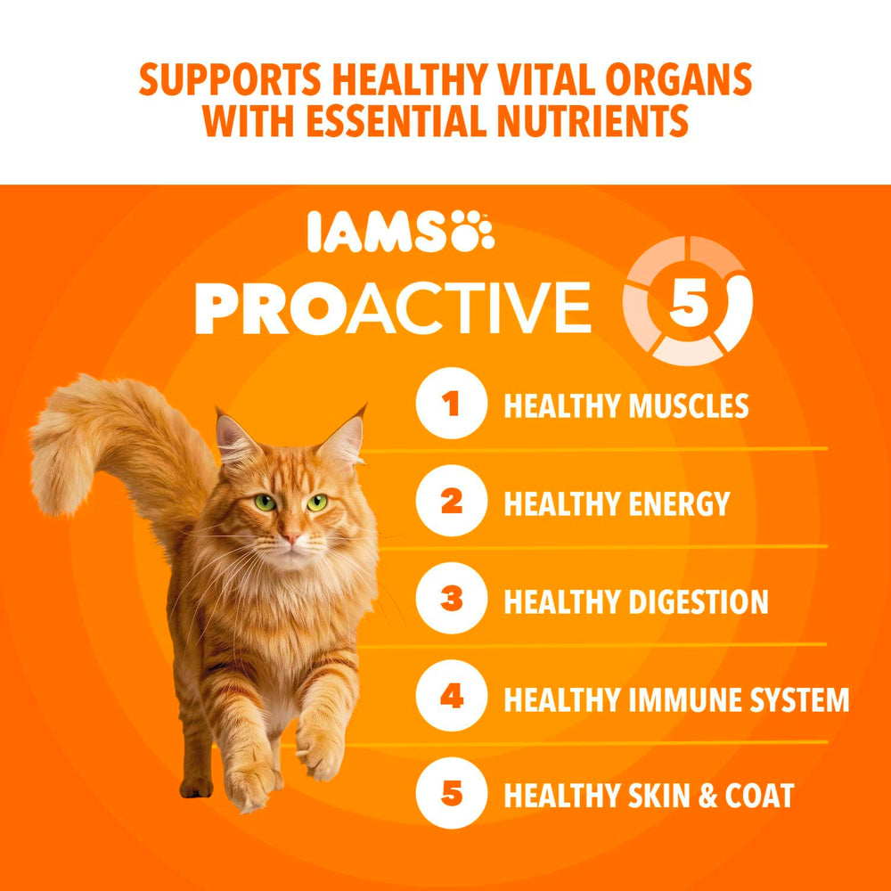 IAMS mains versant croquettes pour portion pratique et fraîcheur