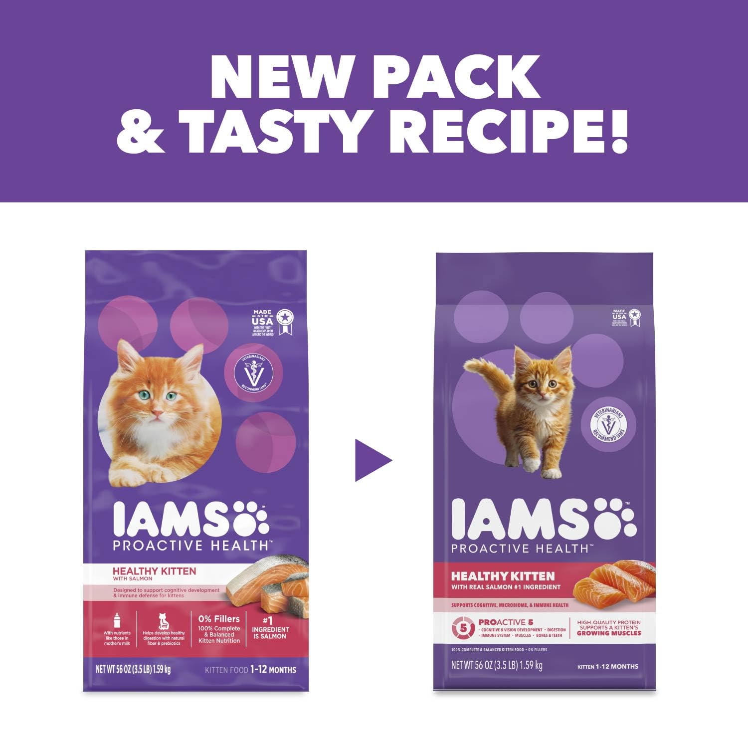 IAMS chaton en train de jouer soulignant vigueur et croissance saine