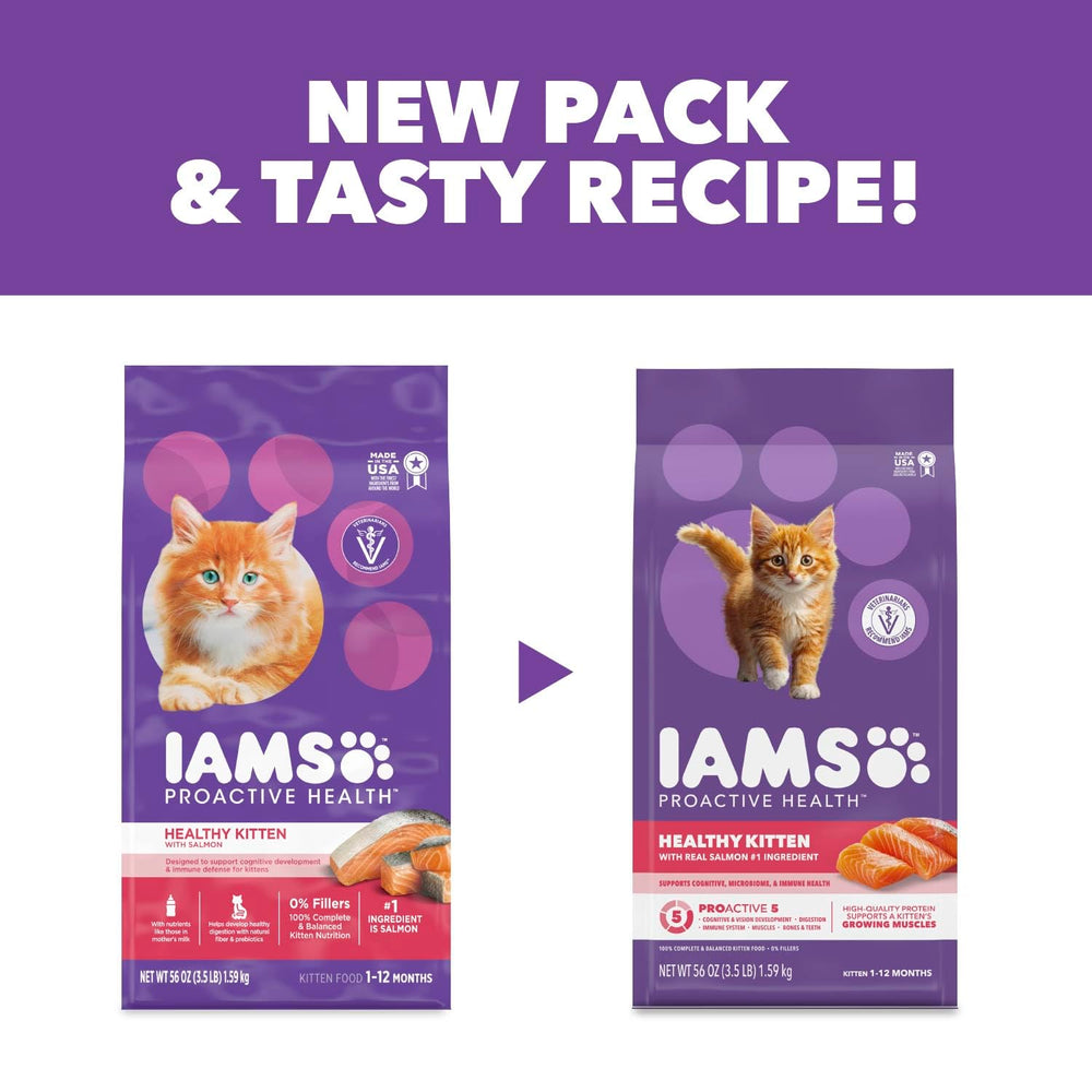IAMS chaton en train de jouer soulignant vigueur et croissance saine