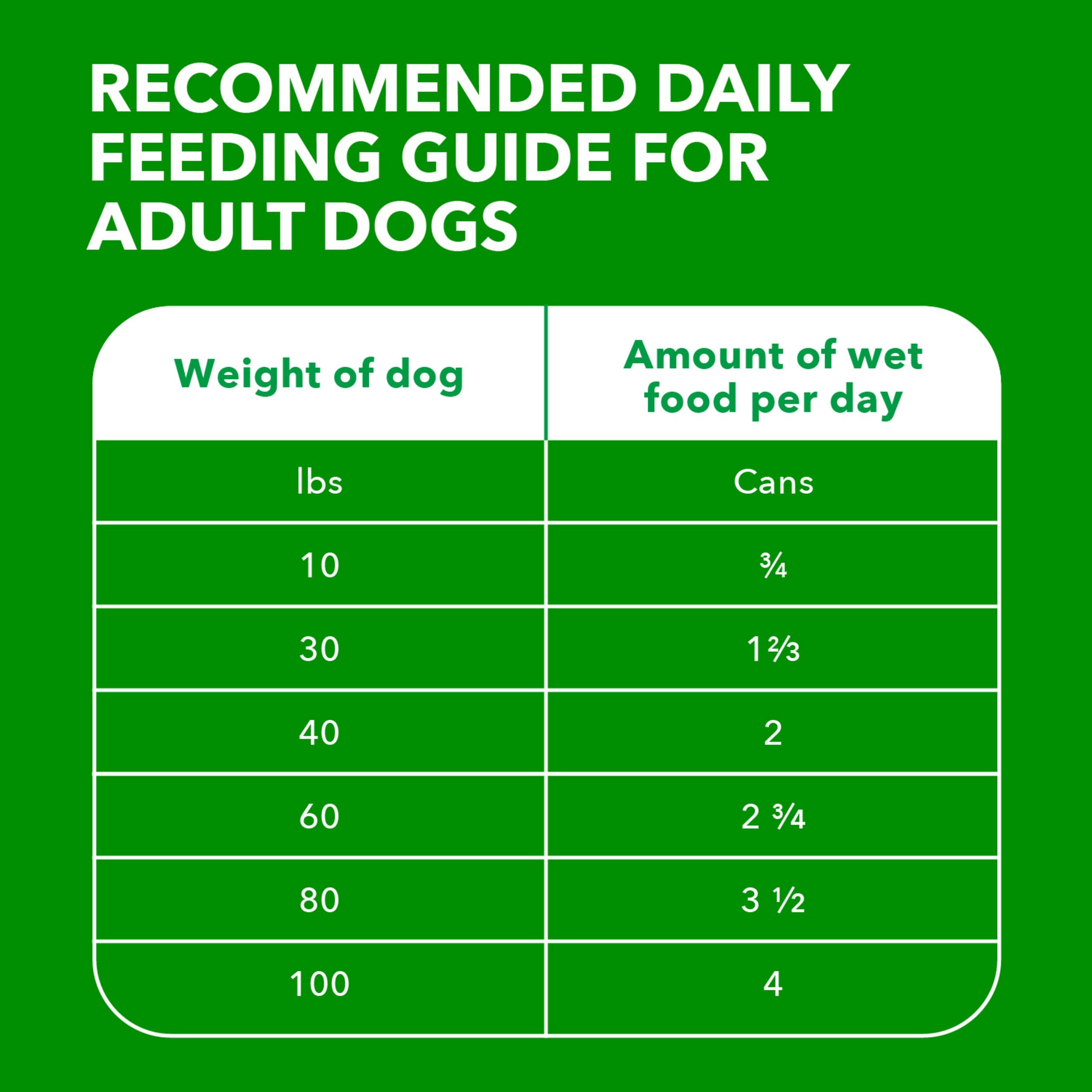 IAMS chien savourant la pâtée, favorisant hydratation et appétit