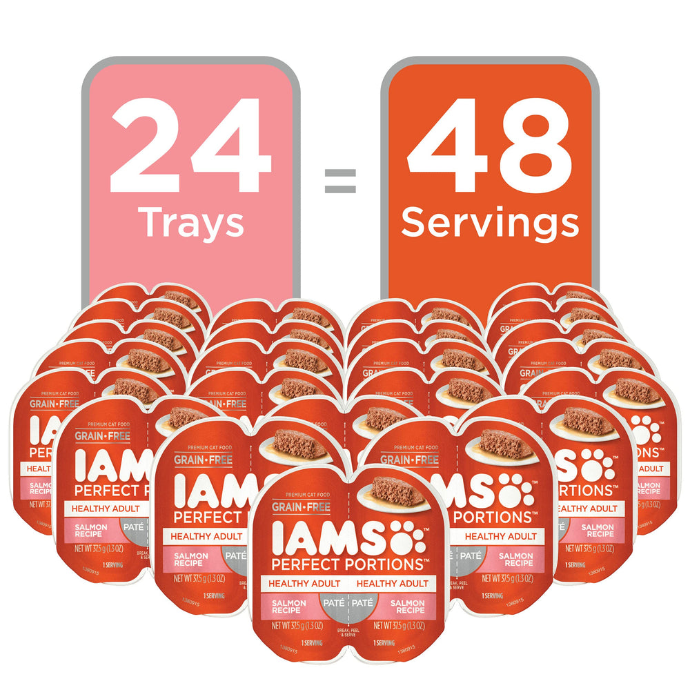 IAMS gros plan texture pâté saumon, appétence et consistance