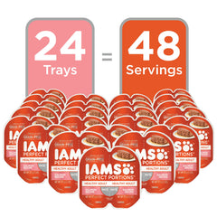 IAMS gros plan texture pâté saumon, appétence et consistance