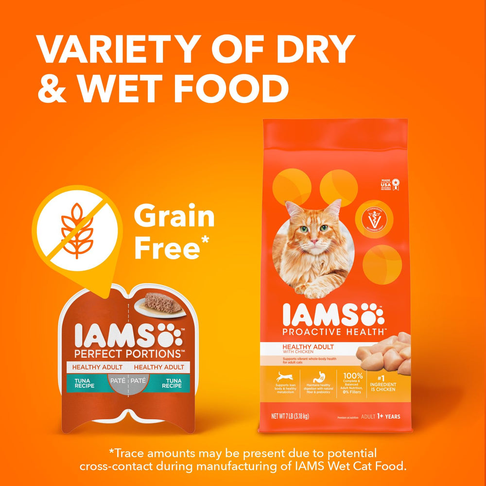 IAMS chat qui mange à l'intérieur montrant satisfaction et bien‑être