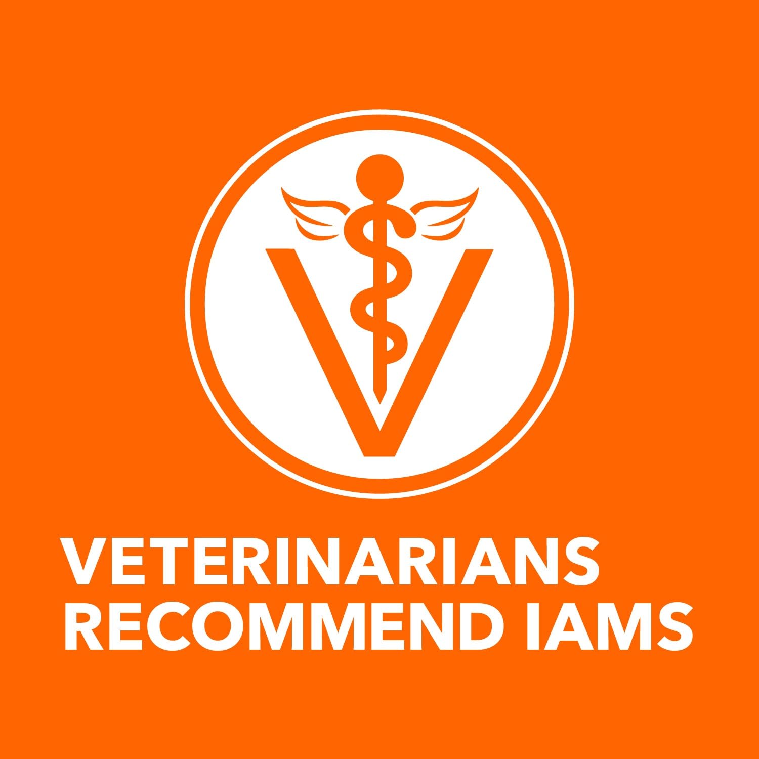 IAMS boîte de 24 unités affichant quantité idéale pour stockage
