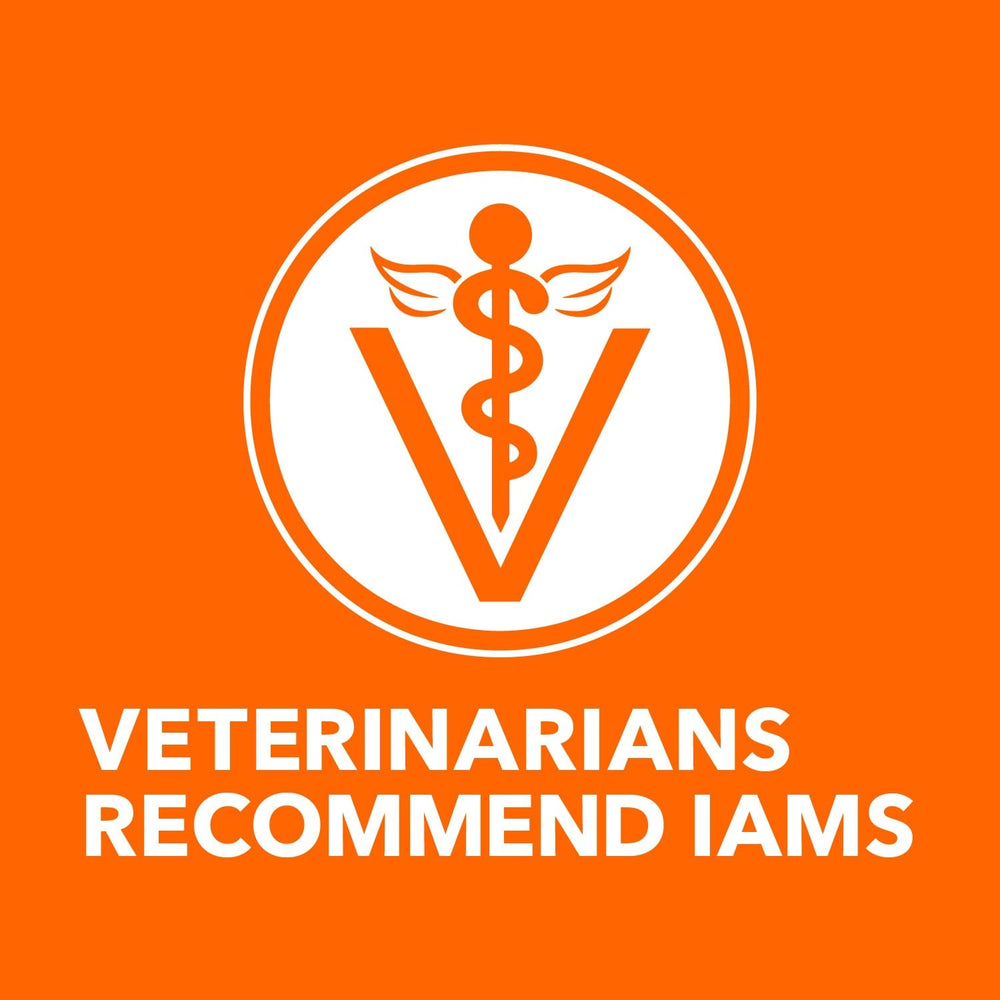 IAMS boîte de 24 unités affichant quantité idéale pour stockage