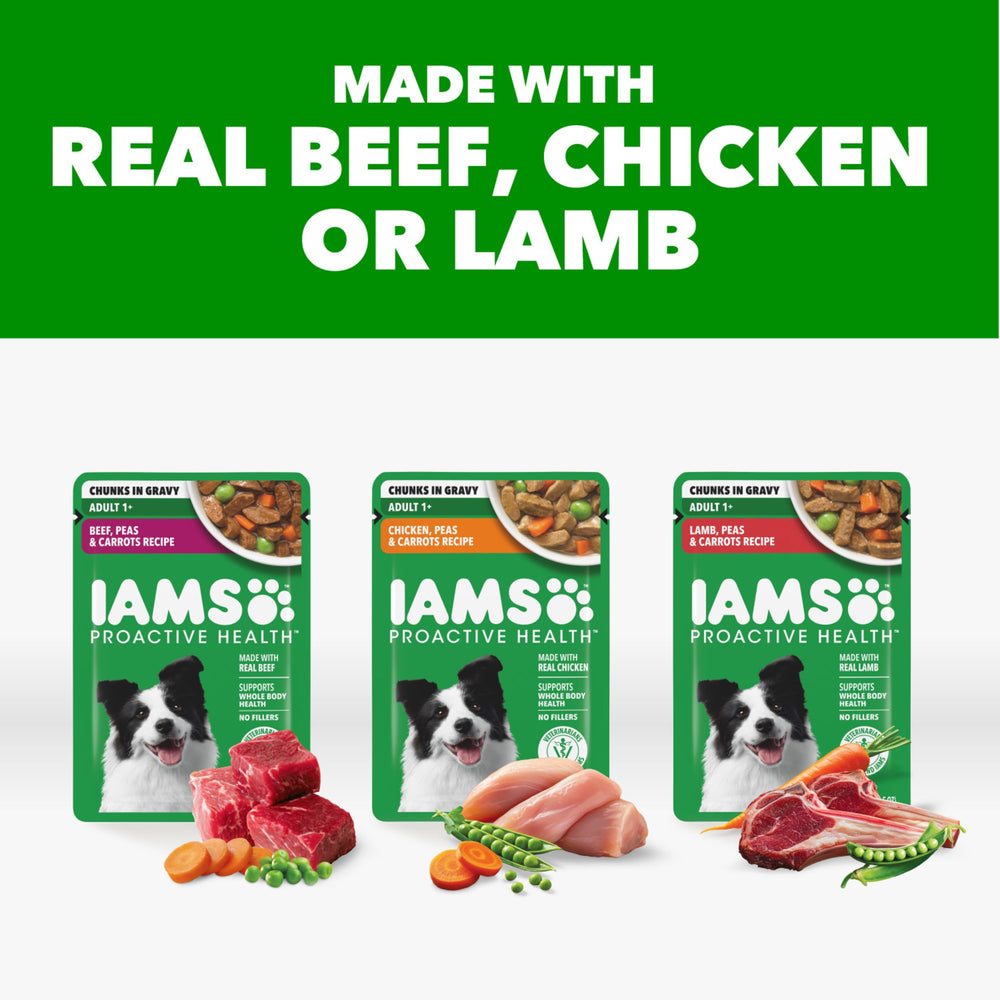 IAMS poignée ouverte montrant le contenu humide et sa consistance nutritive