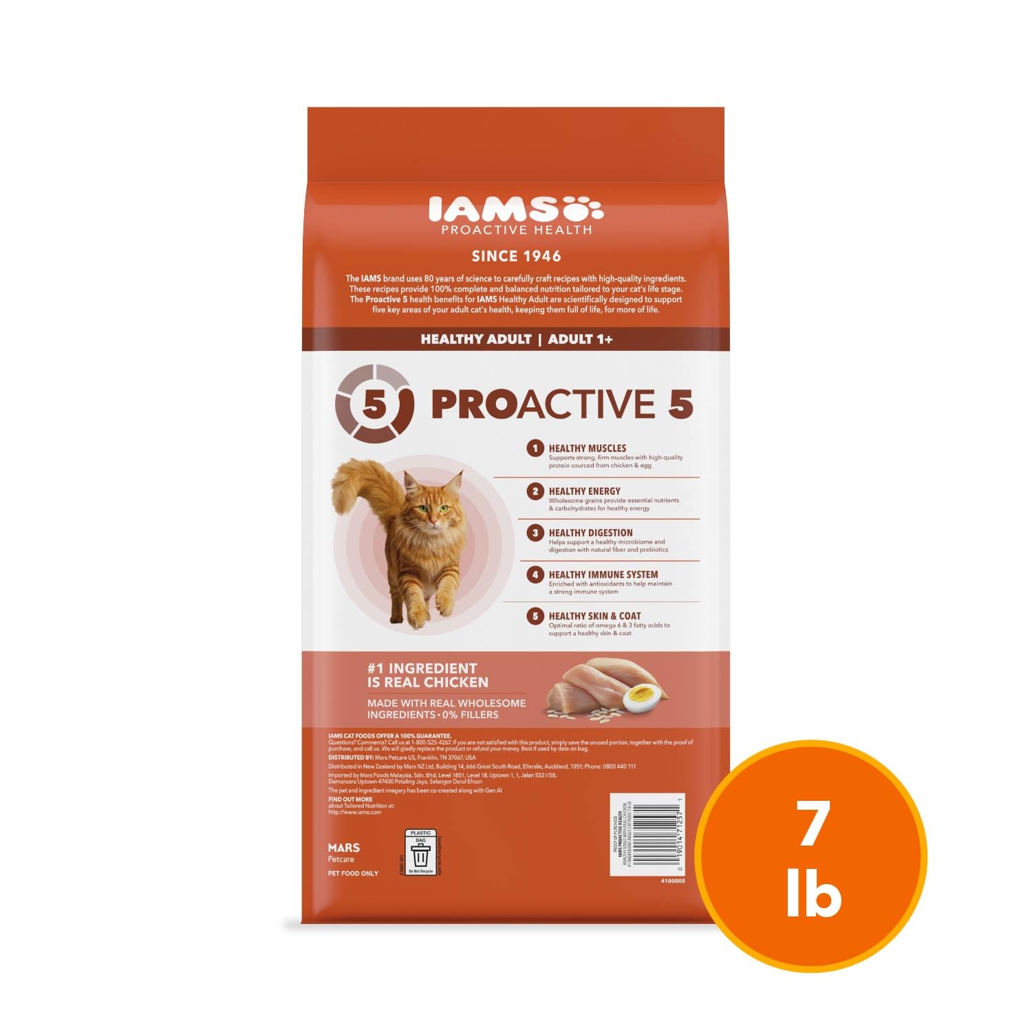 IAMS portrait chat au poil brillant, soutien peau et pelage visible
