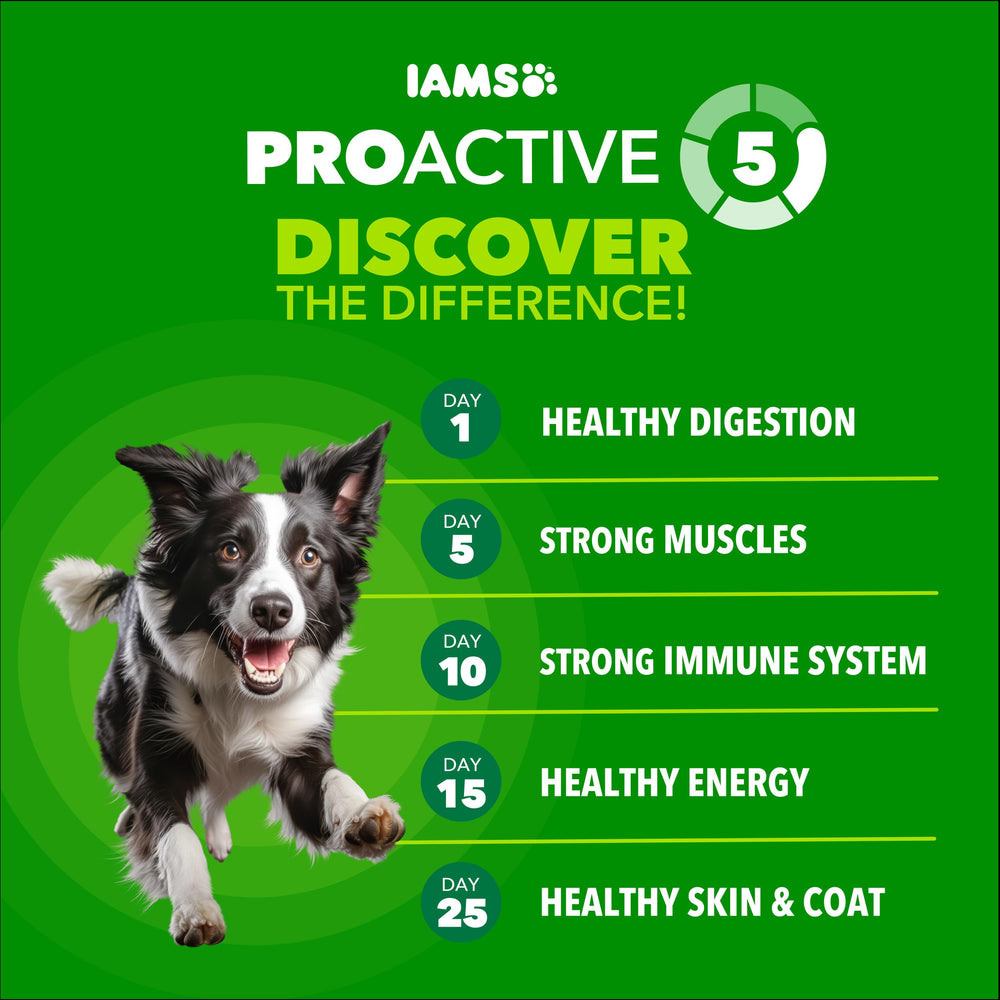 Portion IAMS mesurée avec cuillère, contrôle des rations et consistance