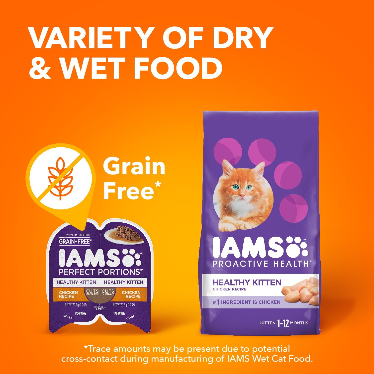 IAMS chat mangeant le produit en situation de vie réelle montrant appétit