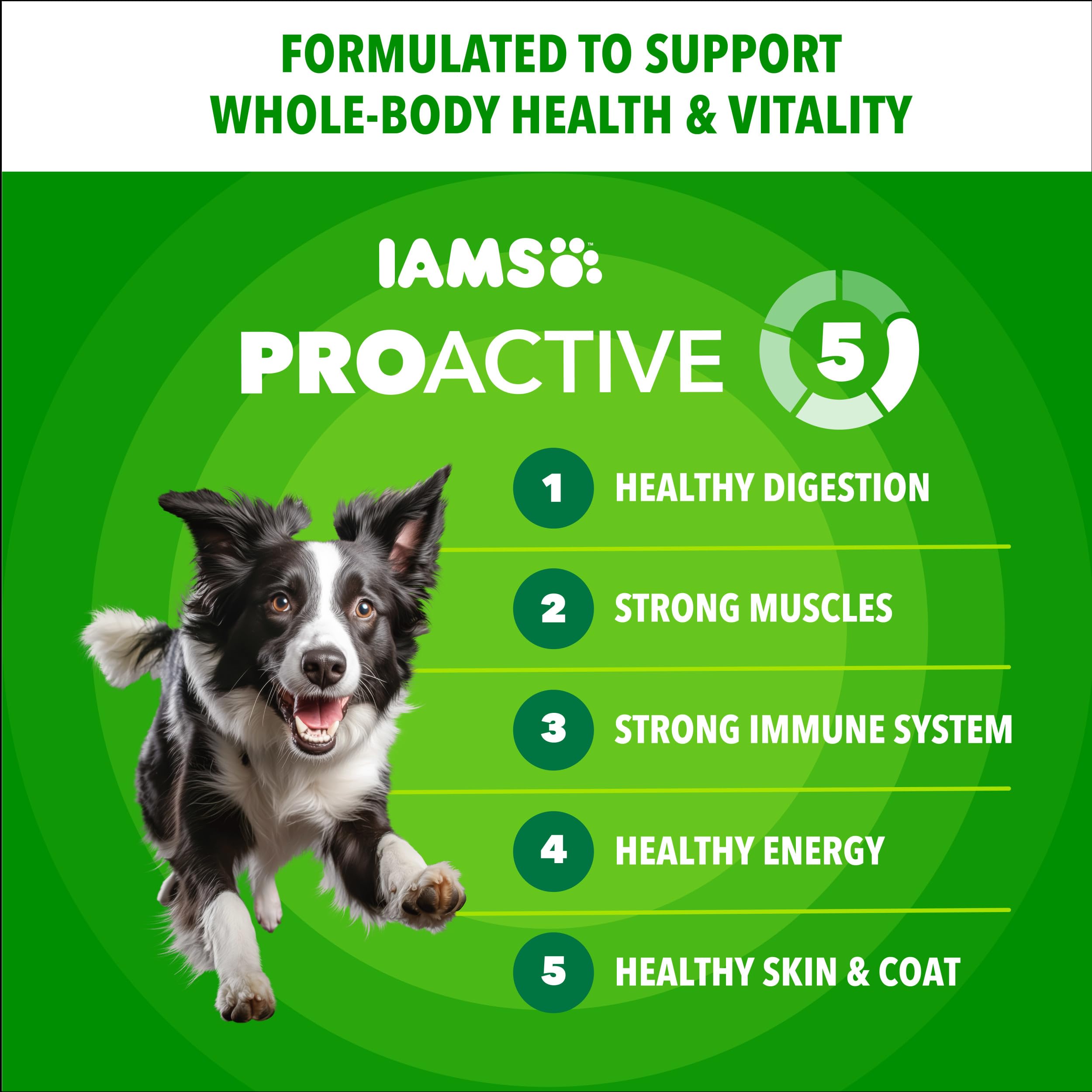 IAMS poulet ingrédient principal illustrant source protéique naturelle