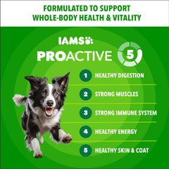 IAMS poulet ingrédient principal illustrant source protéique naturelle