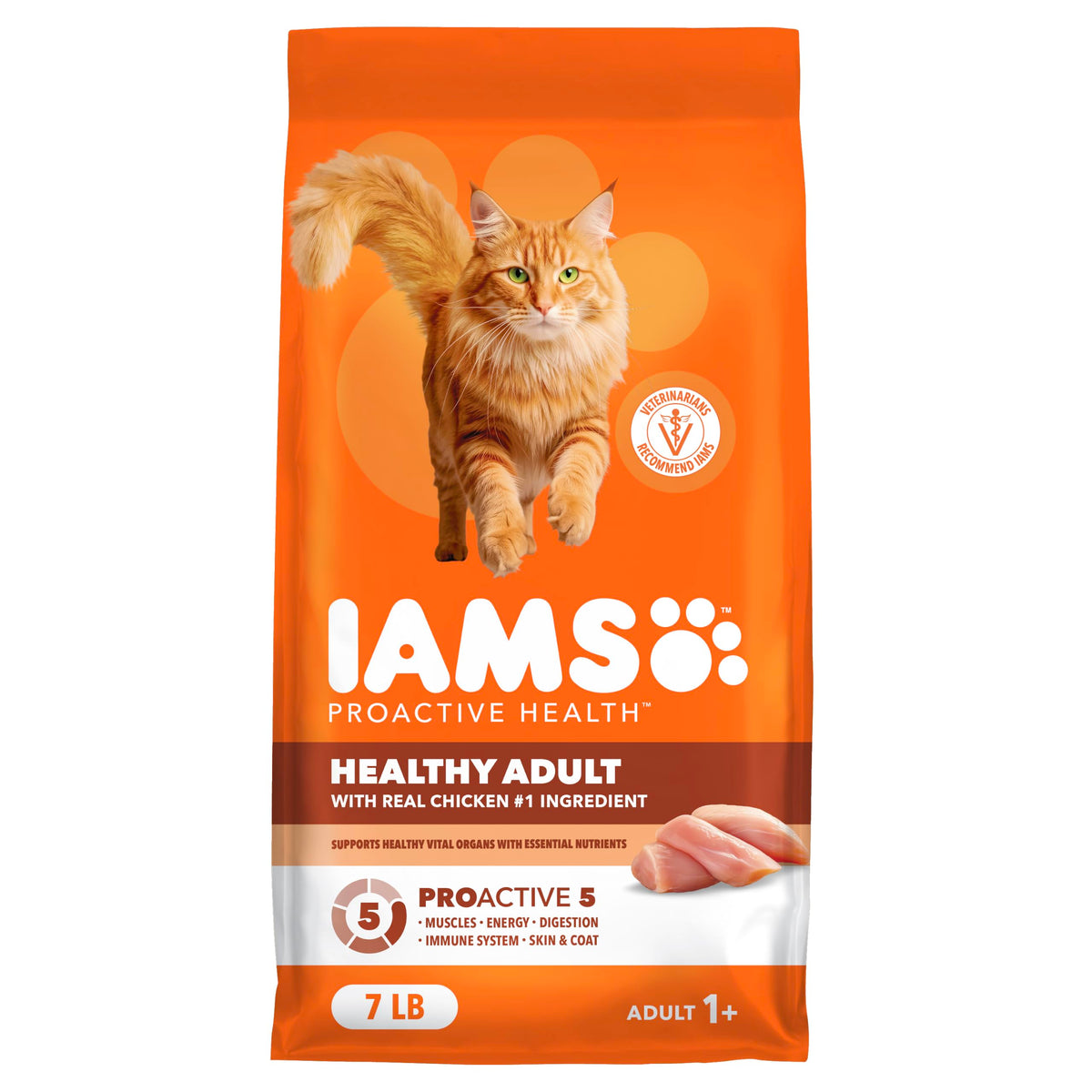 IAMS sachet face avant montrant la marque et bénéfice nutritionnel