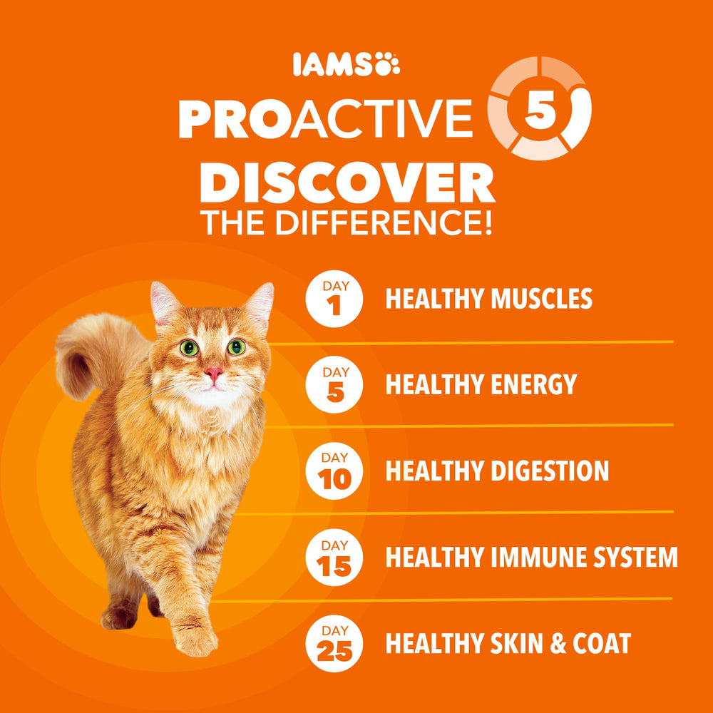 IAMS étiquette lisible détaillant ingrédients et avantages santé