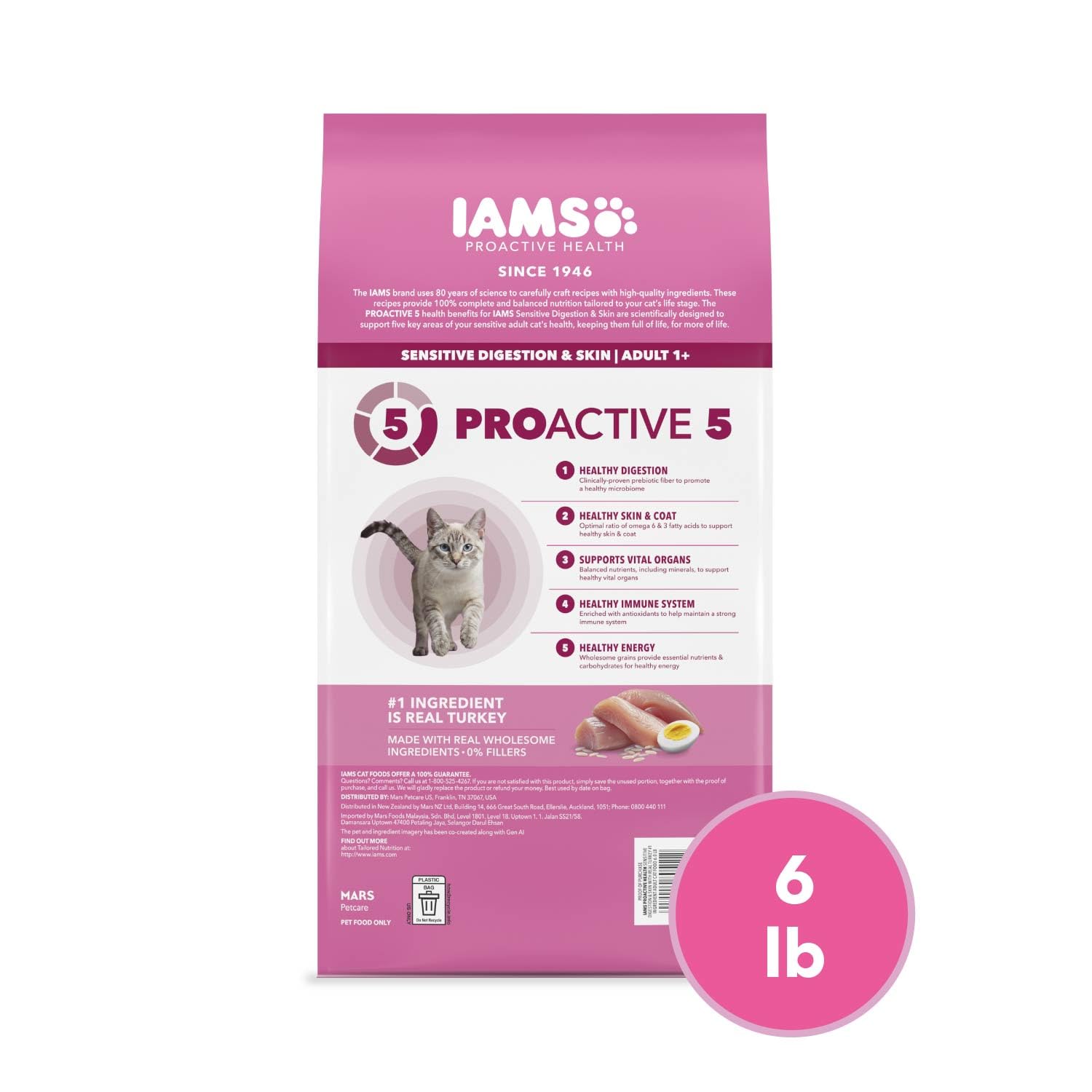 IAMS chat dans intérieur actif illustrant vitalité et bénéfice énergie équilibrée