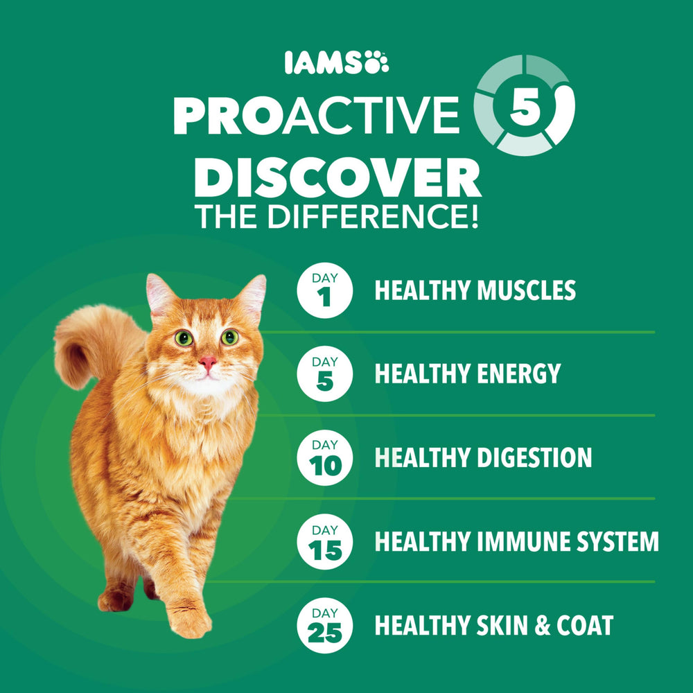 IAMS étiquette nutrition en gros plan montrant nutriments contrôlés