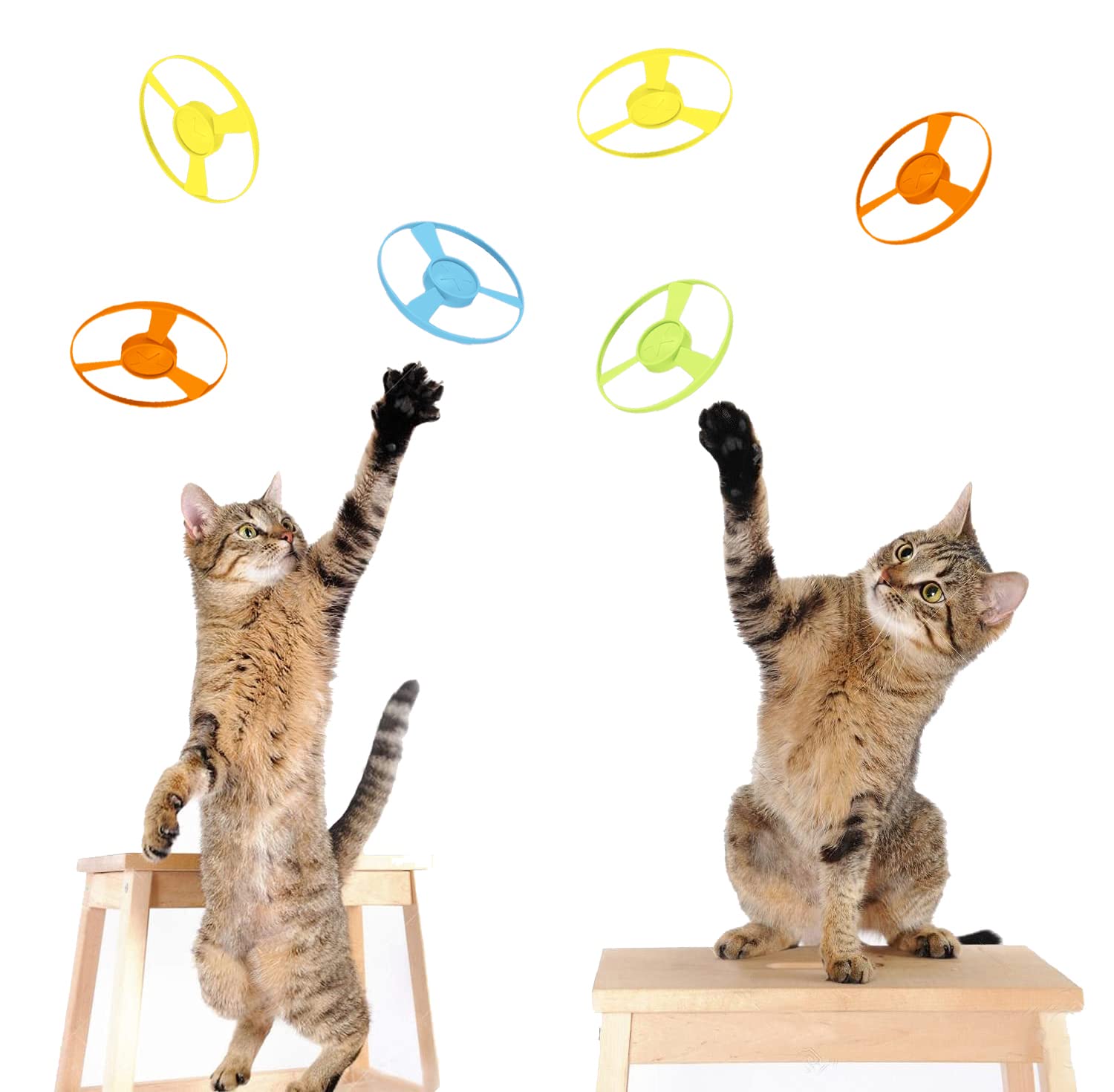 IAXSEE lanceur en action avec hélice qui vole, encourage la poursuite du chat