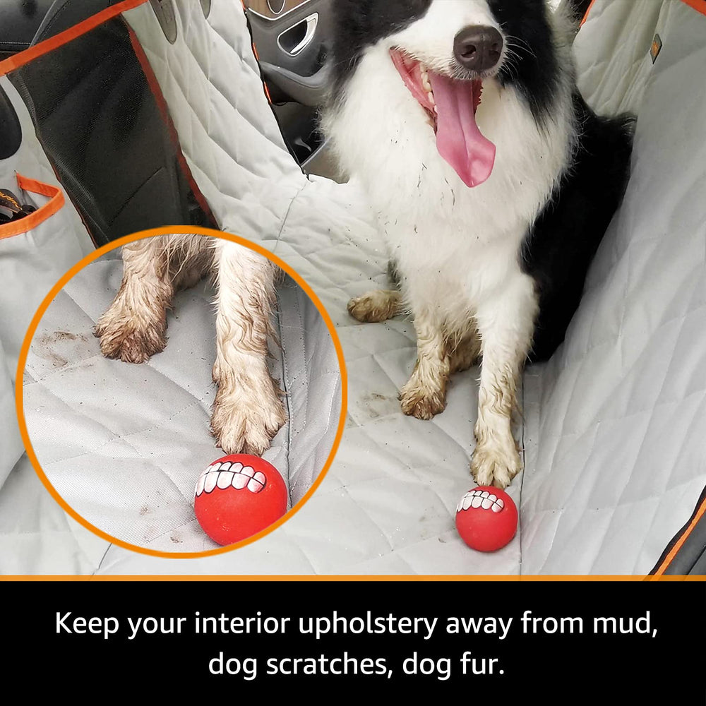 iBuddy hamac en place avec chien, maintien sûr et confort