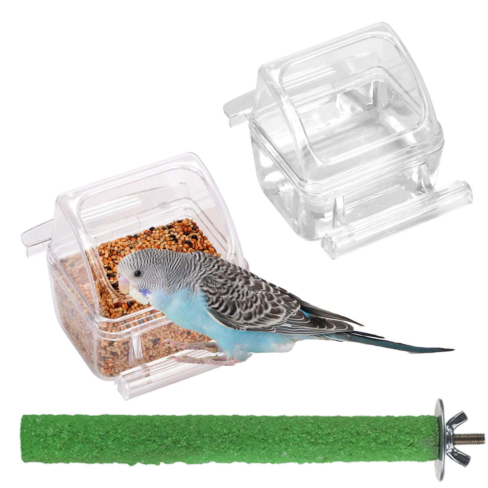 IBWell bol transparent face montrant fixation facile et visibilité de l'oiseau