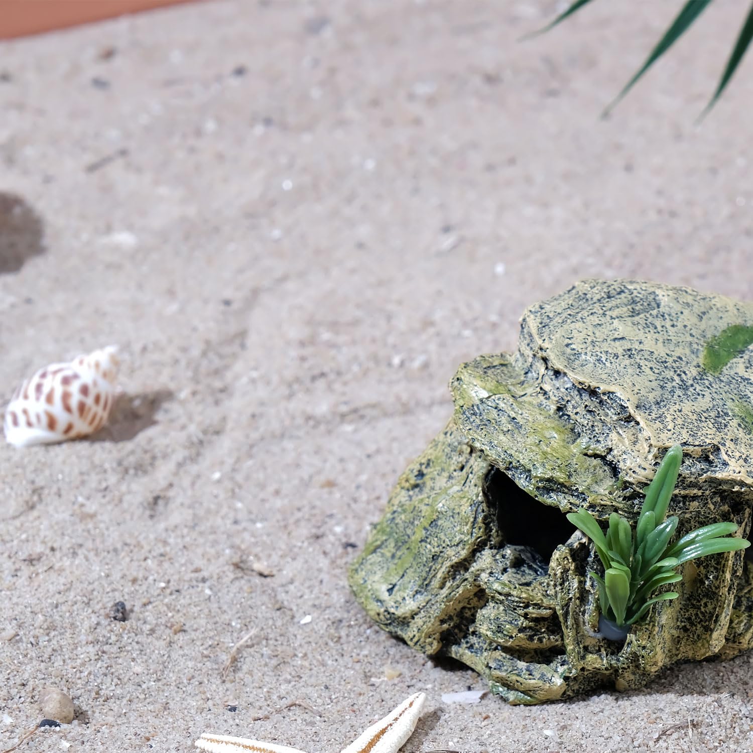 IBWell cachette dans terrarium pour comparaison d’échelle pratique