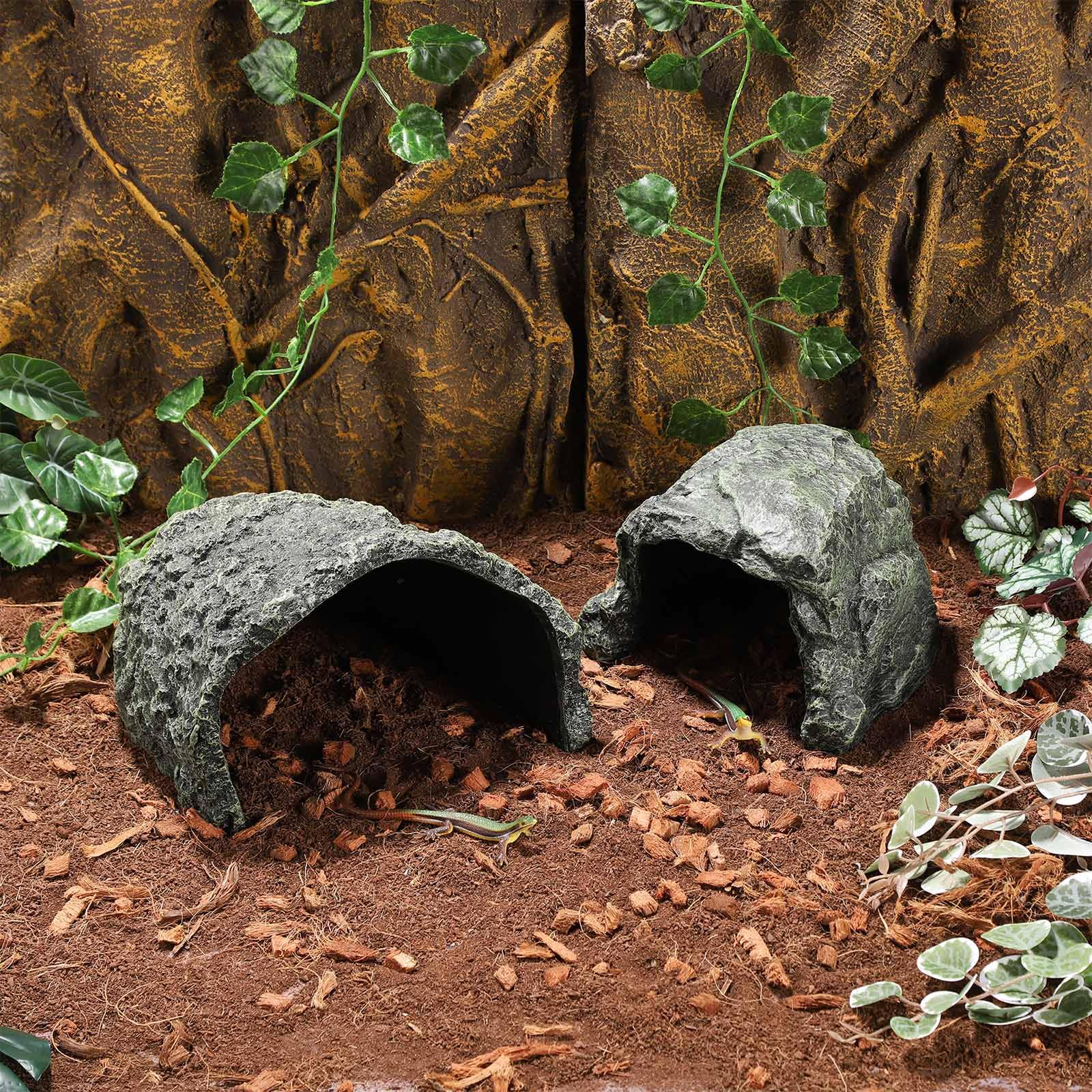 IBWell entrée spacieuse facilitant accès et sortie des reptiles