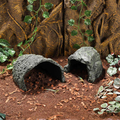 IBWell entrée spacieuse facilitant accès et sortie des reptiles