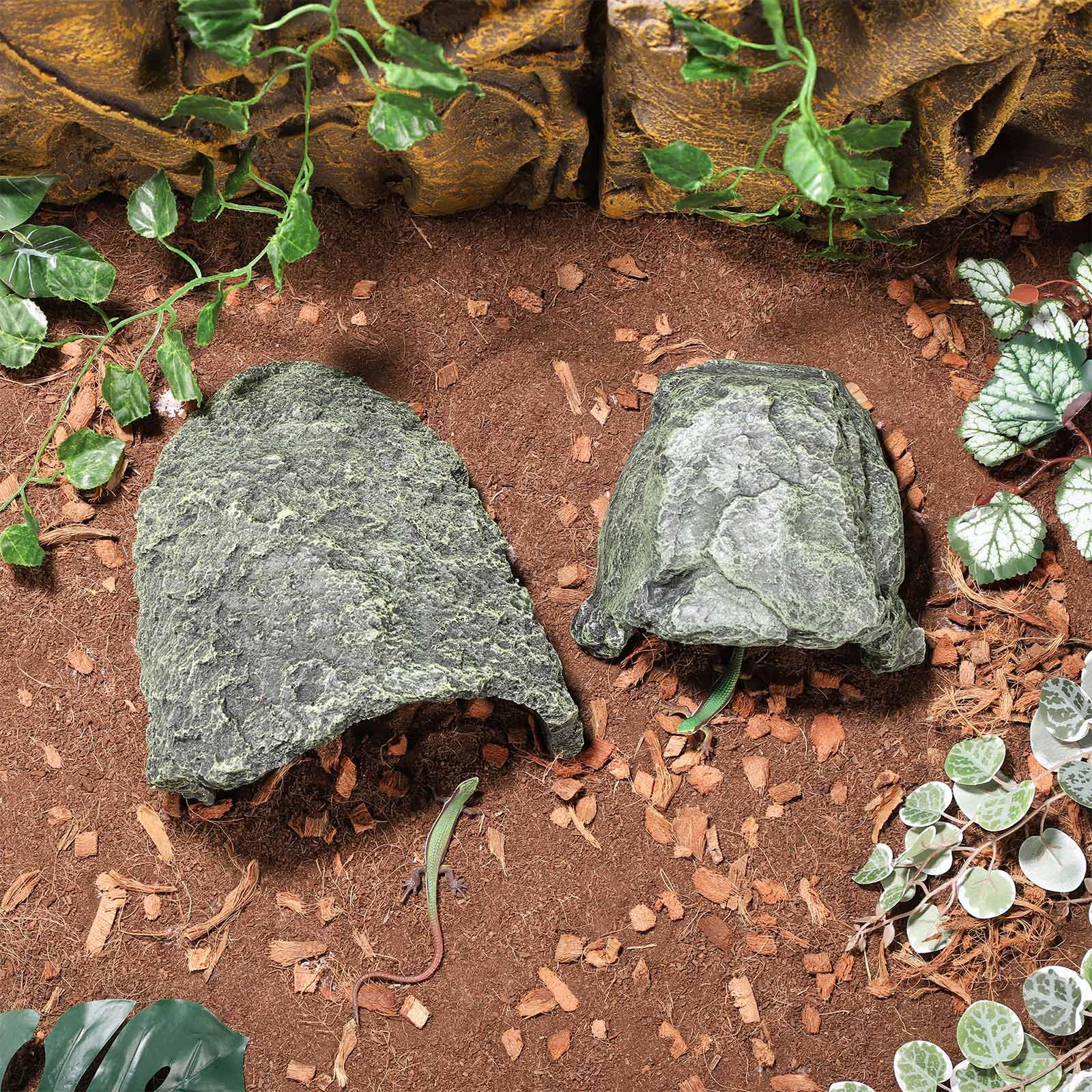 IBWell intégré dans terrarium créant décor naturel et zones de repos