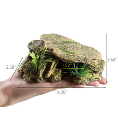 IBWell gros plan surface résine durable et texture réaliste