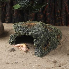 IBWell base plate de la grotte assurant stabilité dans le terrarium
