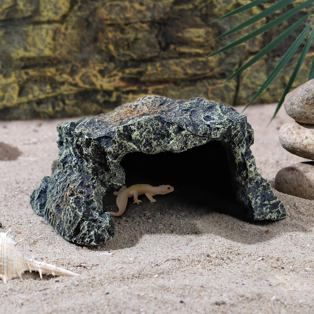 IBWell comparaison taille avec règle, vérifiez l'ajustement pour tortue
