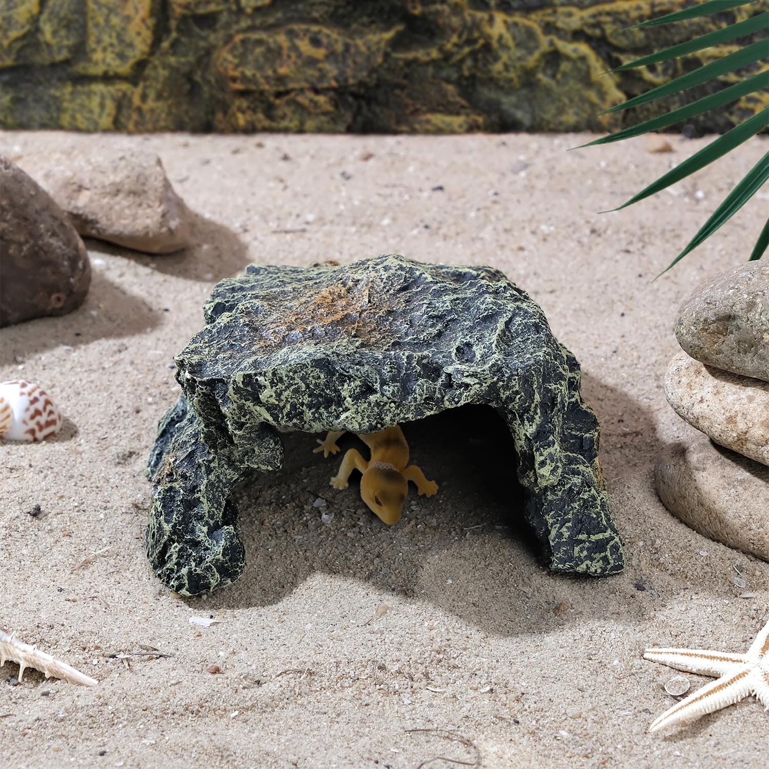 IBWell grotte utilisée par un gecko léopard, cachette confortable
