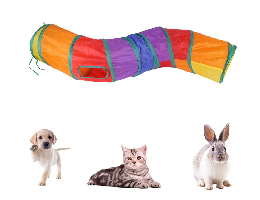 iCAGY tunnel avec chat en jeu stimulant exercice et curiosité
