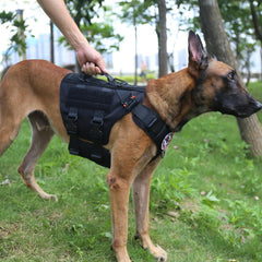 ICEFANG panneaux MOLLE et Velcro permettant transport d'accessoires