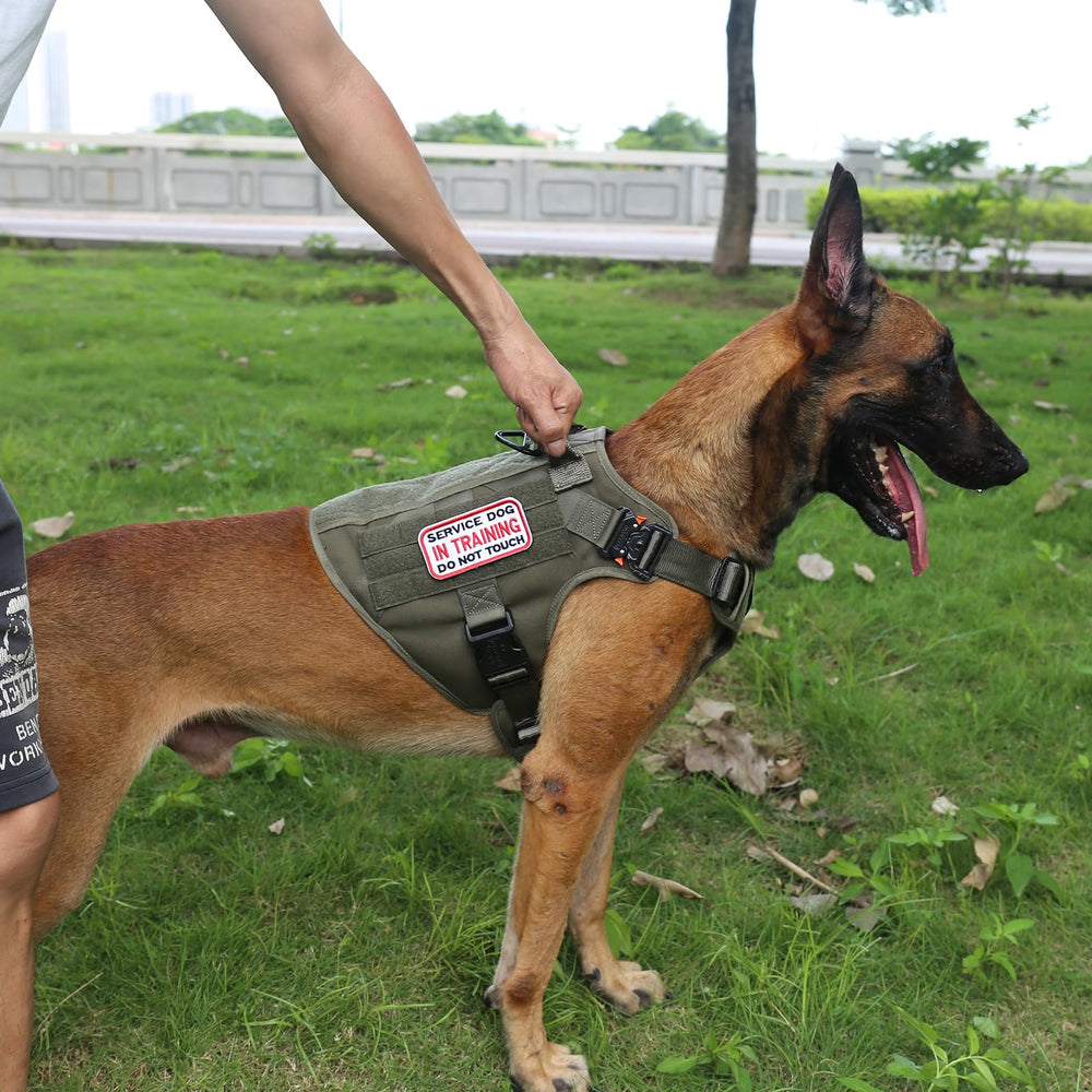 ICEFANG panneaux velcro et Molle pour personnalisation pratique