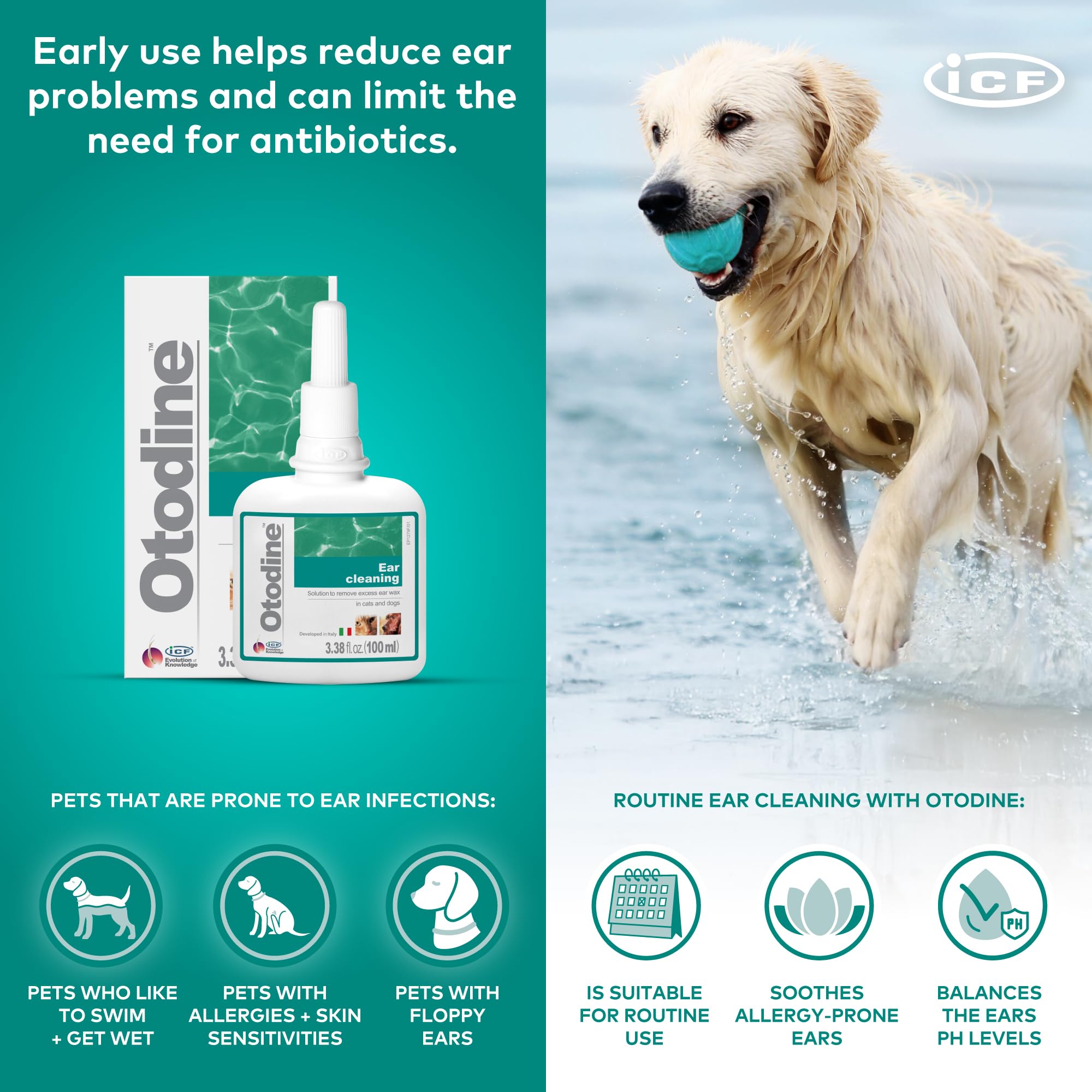 ICF Otodine 100ml comparaison taille pratique pour transport et usage domestique