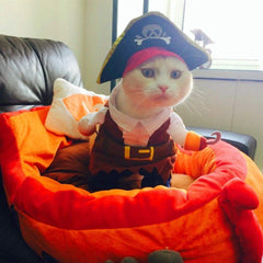 Idepet animal portant le costume pirate pour fêtes et photos