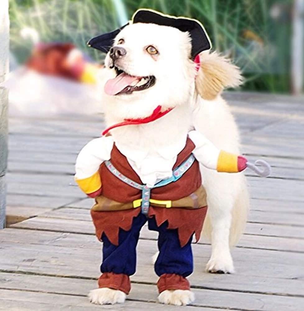 Idepet chapeau pirate détaillé ajoutant charme et effet photogénique