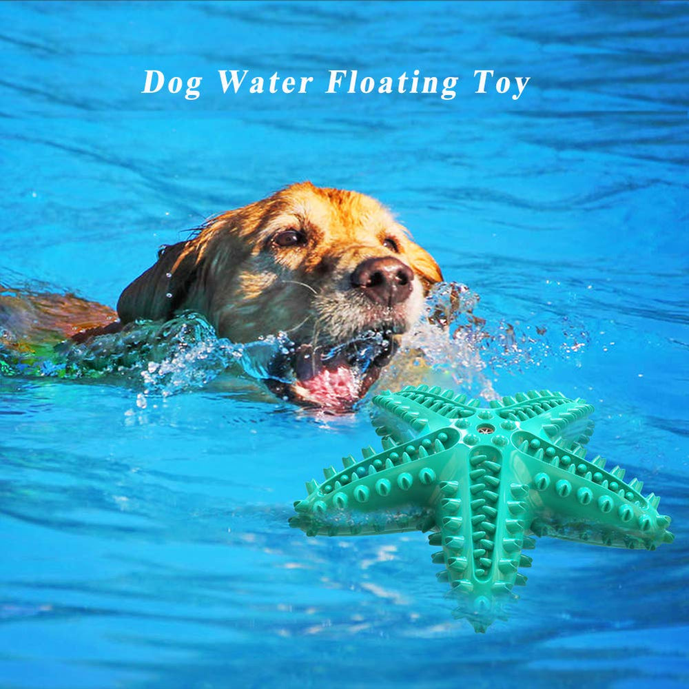 IDOLPET chiot jouant avec l'étoile de mer, stimule activité physique