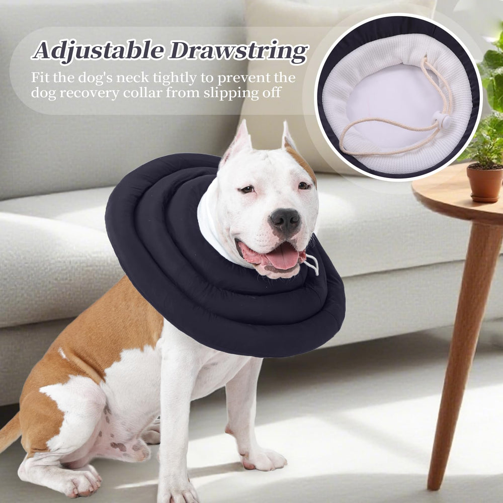 IDOMIK chien adulte actif protégé sans obstruction de la vision