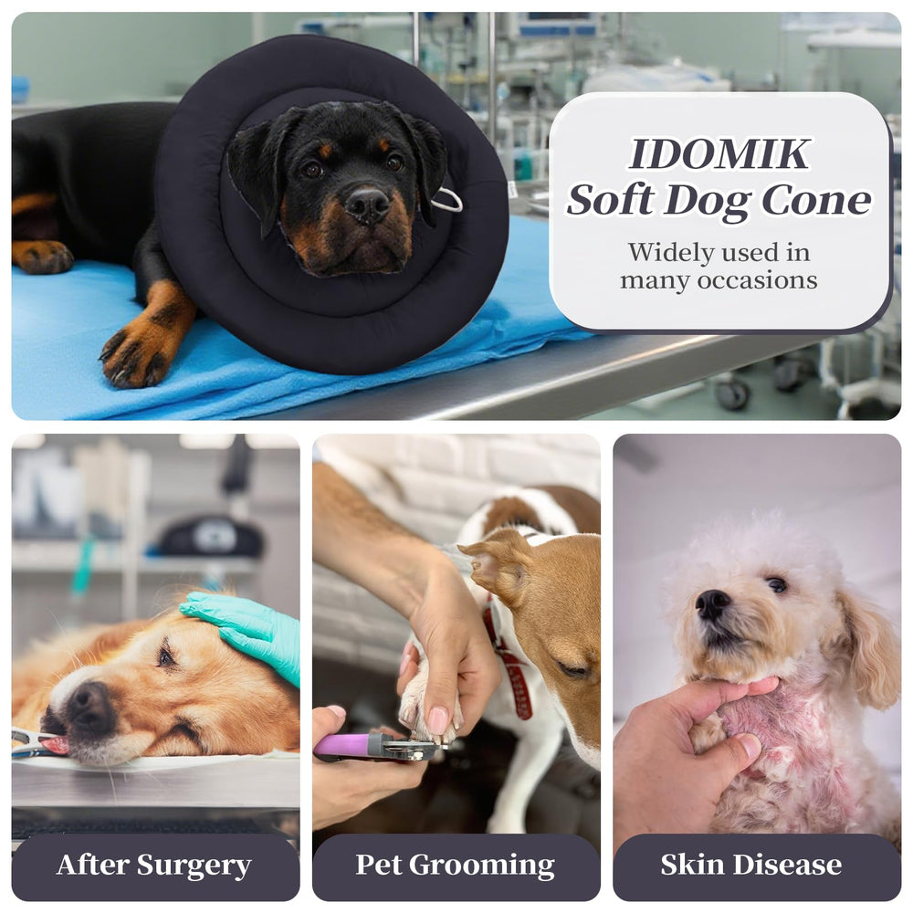 IDOMIK mise en scène lifestyle chien couché serein avec la collerette