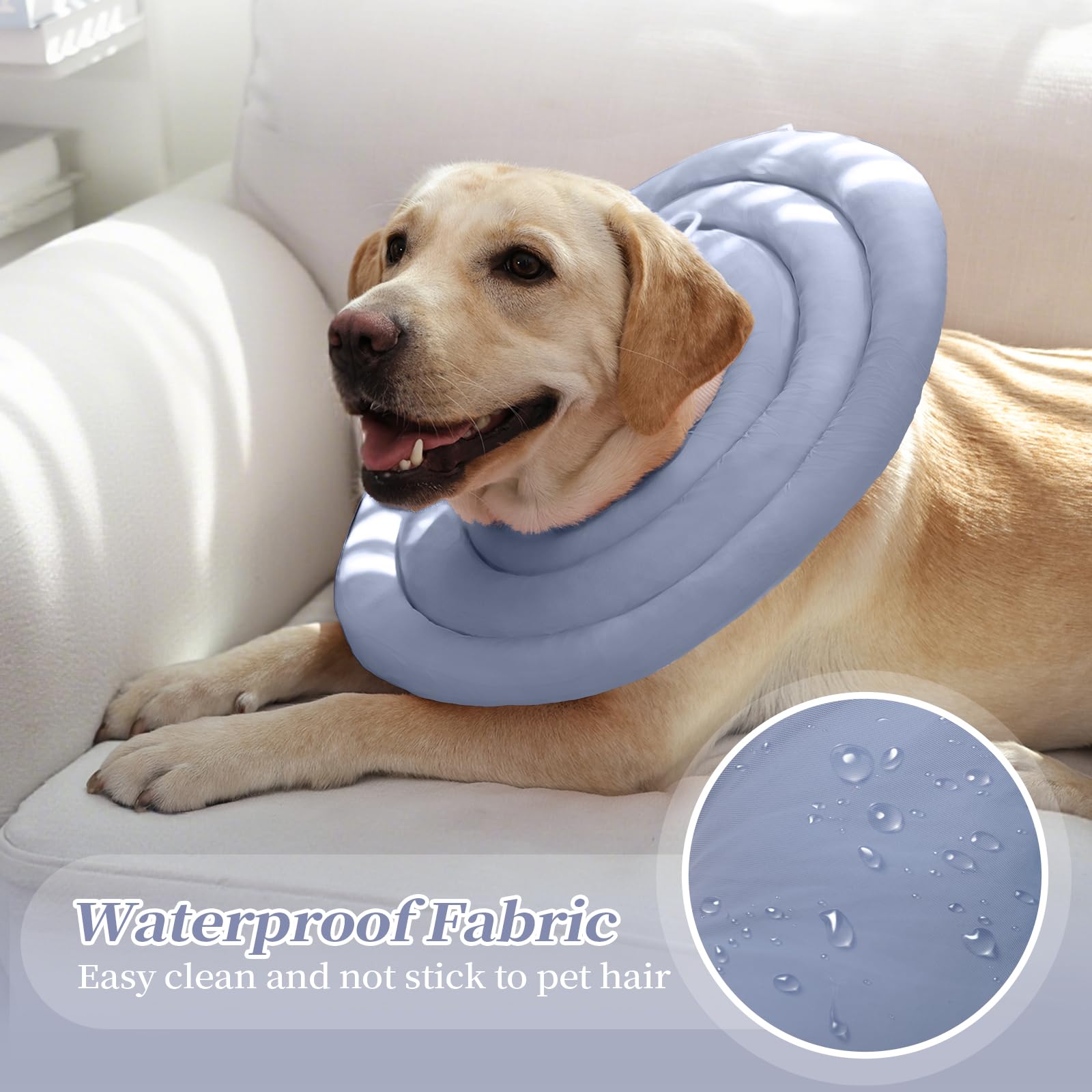 IDOMIK chien portant le collier montrant mobilité et protection visible