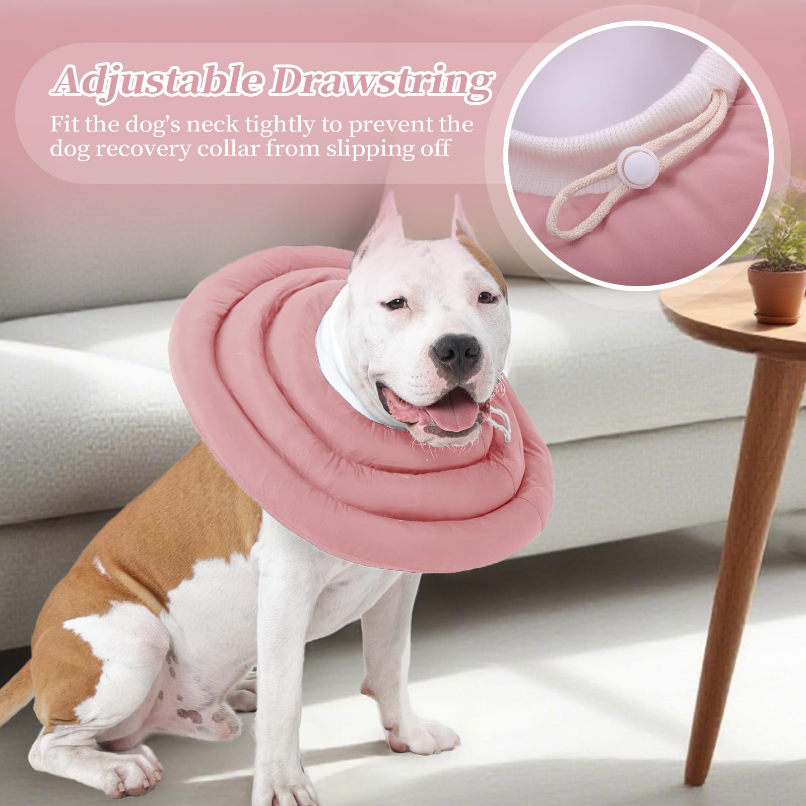 IDOMIK détail de la sangle ajustable sécurisée pour maintenir le collier