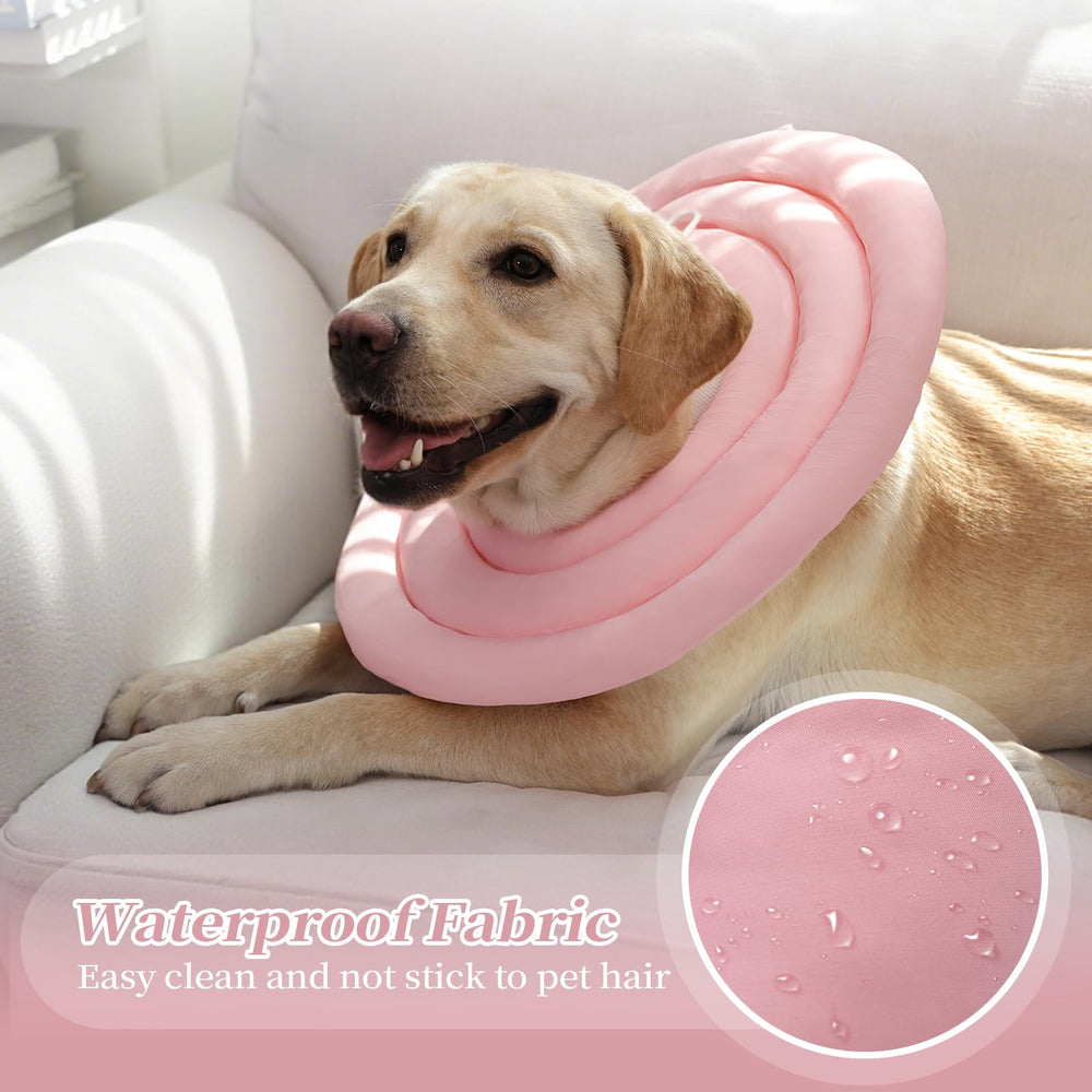 IDOMIK chien allongé portant collier, récupération paisible